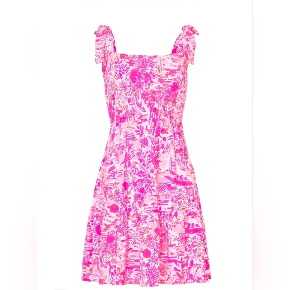 Lilly Pulitzer Kailua Smocked Dress- size small-used condition 🦩 - Picture 5 of 9